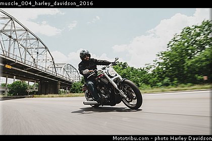 muscle_004_harley_davidson_2016.jpg