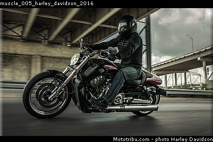 muscle_005_harley_davidson_2016.jpg