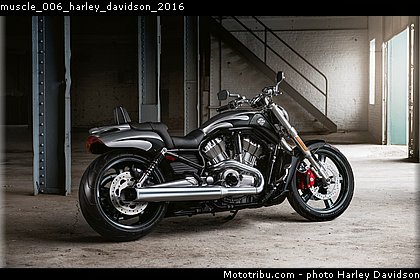 muscle_006_harley_davidson_2016.jpg