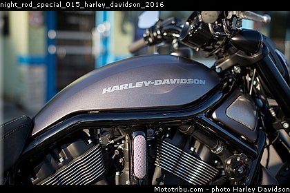 night_rod_special_015_harley_davidson_2016.jpg