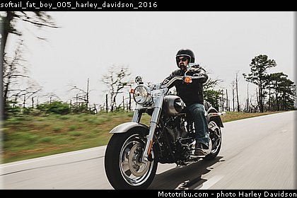 softail_fat_boy_005_harley_davidson_2016.jpg