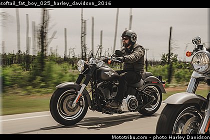 softail_fat_boy_025_harley_davidson_2016.jpg