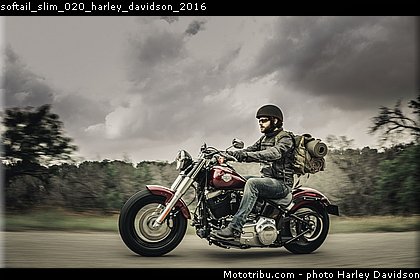 softail_slim_020_harley_davidson_2016.jpg