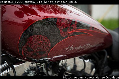 sportster_1200_custom_015_harley_davidson_2016.jpg