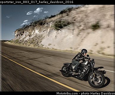 sportster_iron_883_017_harley_davidson_2016.jpg