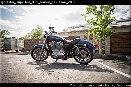 sportster_superlow_012_harley_davidson_2016.jpg