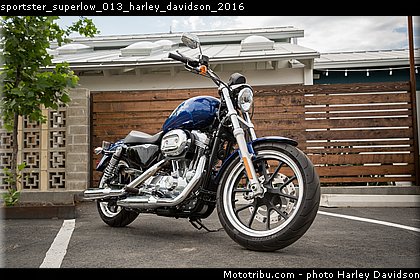 sportster_superlow_013_harley_davidson_2016.jpg
