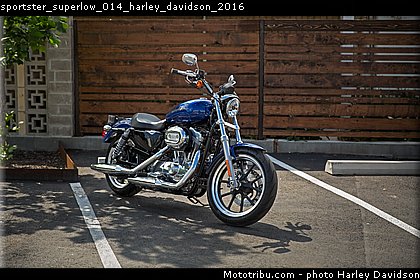 sportster_superlow_014_harley_davidson_2016.jpg
