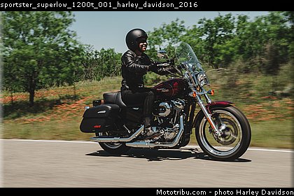 sportster_superlow_1200t_001_harley_davidson_2016.jpg