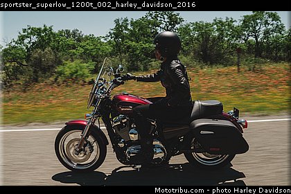 sportster_superlow_1200t_002_harley_davidson_2016.jpg