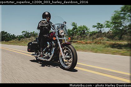 sportster_superlow_1200t_003_harley_davidson_2016.jpg