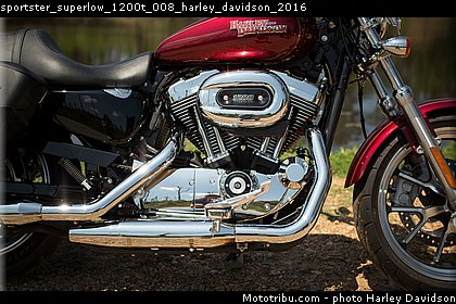 sportster_superlow_1200t_008_harley_davidson_2016.jpg
