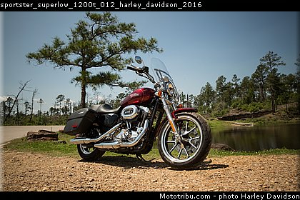 sportster_superlow_1200t_012_harley_davidson_2016.jpg