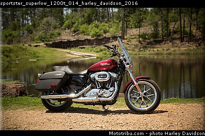 sportster_superlow_1200t_014_harley_davidson_2016.jpg
