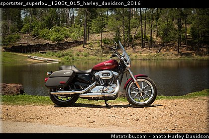 sportster_superlow_1200t_015_harley_davidson_2016.jpg