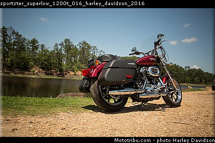 sportster_superlow_1200t_016_harley_davidson_2016.jpg