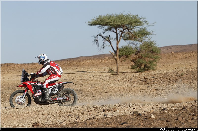 honda_team_hrc_pizzolito_08
