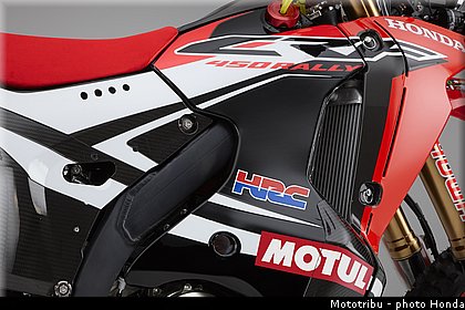honda_450_crf_rallye_2013_08.jpg