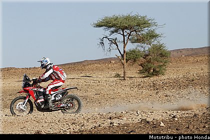 honda_team_hrc_pizzolito_08.jpg