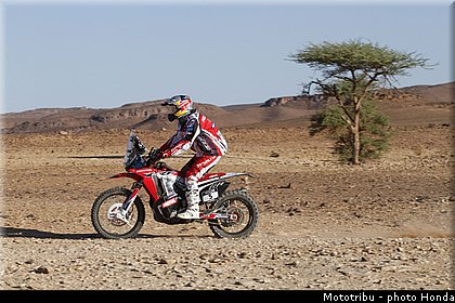 honda_team_hrc_rodrigues_06.jpg