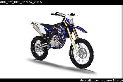 300_sef_002_sherco_2015.jpg
