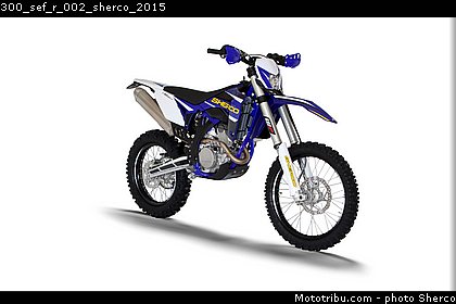 300_sef_r_002_sherco_2015.jpg