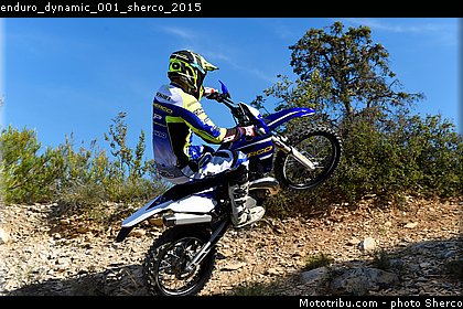 enduro_dynamic_001_sherco_2015.jpg