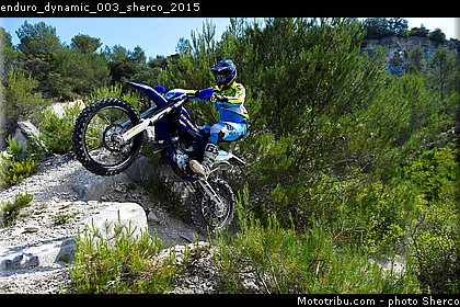 enduro_dynamic_003_sherco_2015.jpg
