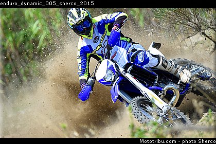 enduro_dynamic_005_sherco_2015.jpg