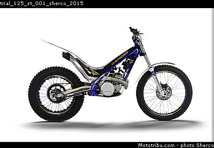 trial_125_st_001_sherco_2015.jpg