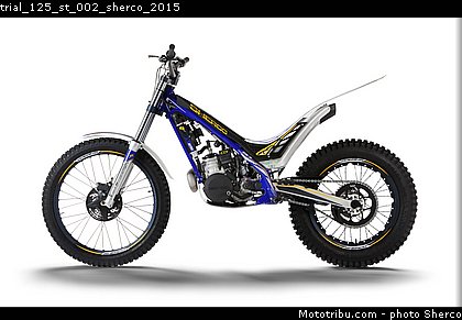 trial_125_st_002_sherco_2015.jpg