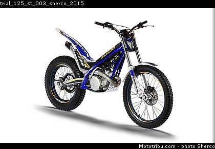 trial_125_st_003_sherco_2015.jpg
