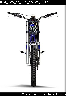 trial_125_st_005_sherco_2015.jpg