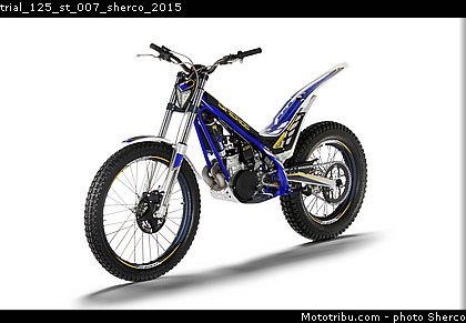 trial_125_st_007_sherco_2015.jpg