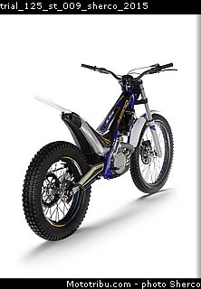 trial_125_st_009_sherco_2015.jpg