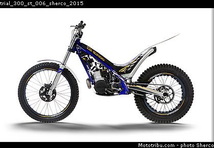 trial_300_st_006_sherco_2015.jpg