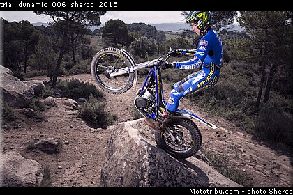 trial_dynamic_006_sherco_2015.jpg