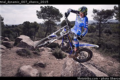 trial_dynamic_007_sherco_2015.jpg