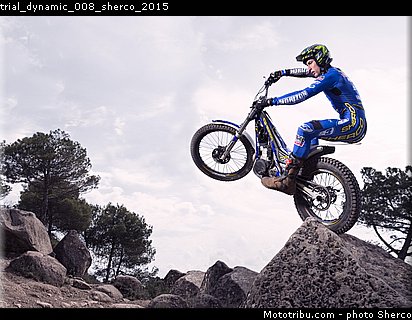 trial_dynamic_008_sherco_2015.jpg