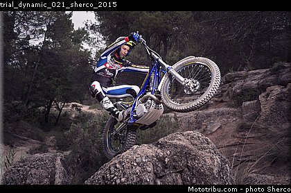 trial_dynamic_021_sherco_2015.jpg