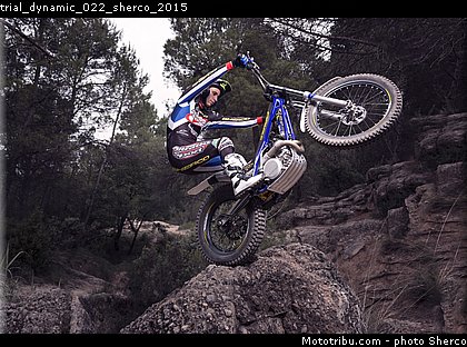 trial_dynamic_022_sherco_2015.jpg