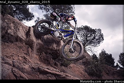 trial_dynamic_028_sherco_2015.jpg