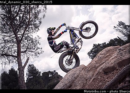 trial_dynamic_030_sherco_2015.jpg