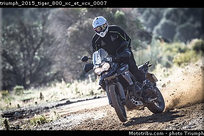 triumph_2015_tiger_800_xc_et_xcx_0007.jpg