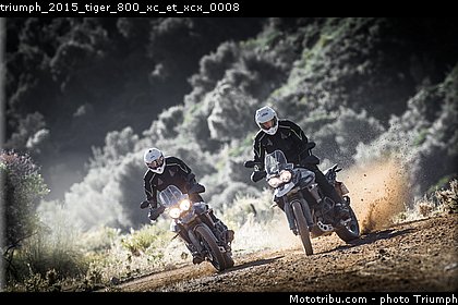 triumph_2015_tiger_800_xc_et_xcx_0008.jpg