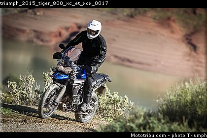 triumph_2015_tiger_800_xc_et_xcx_0017.jpg