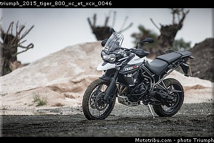 triumph_2015_tiger_800_xc_et_xcx_0046.jpg