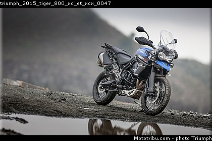 triumph_2015_tiger_800_xc_et_xcx_0047.jpg