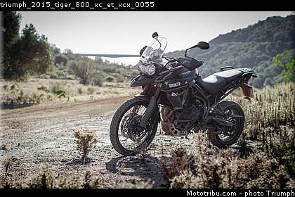 triumph_2015_tiger_800_xc_et_xcx_0055.jpg