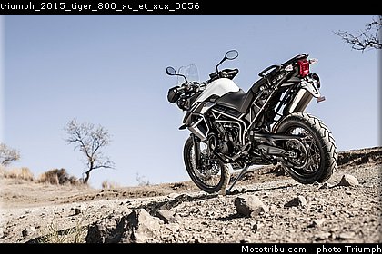 triumph_2015_tiger_800_xc_et_xcx_0056.jpg